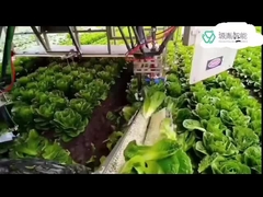 Sistemas de armas resistentes del robot de Kuka para los robots del DELTA del KR en la manipulación del brazo de empaquetado de 7 Dof